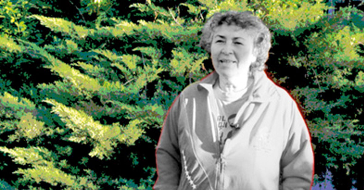 “Hubo una ruptura epistémica con el pensamiento único”