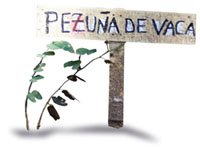 nota_13_uepc_03_n30