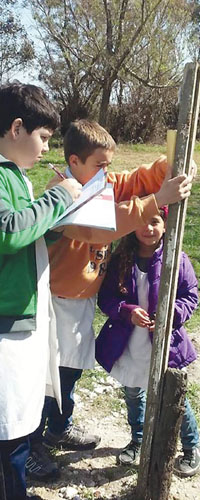 nota_12_uepc_03_n35